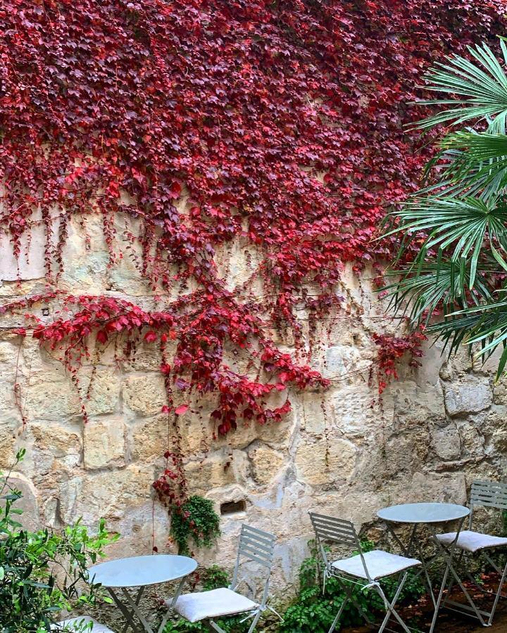 B&B La Maison Galiene Bordeaux Dış mekan fotoğraf